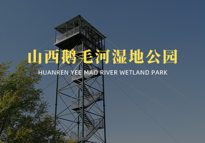 山西懷仁市鵝毛河濕地公園